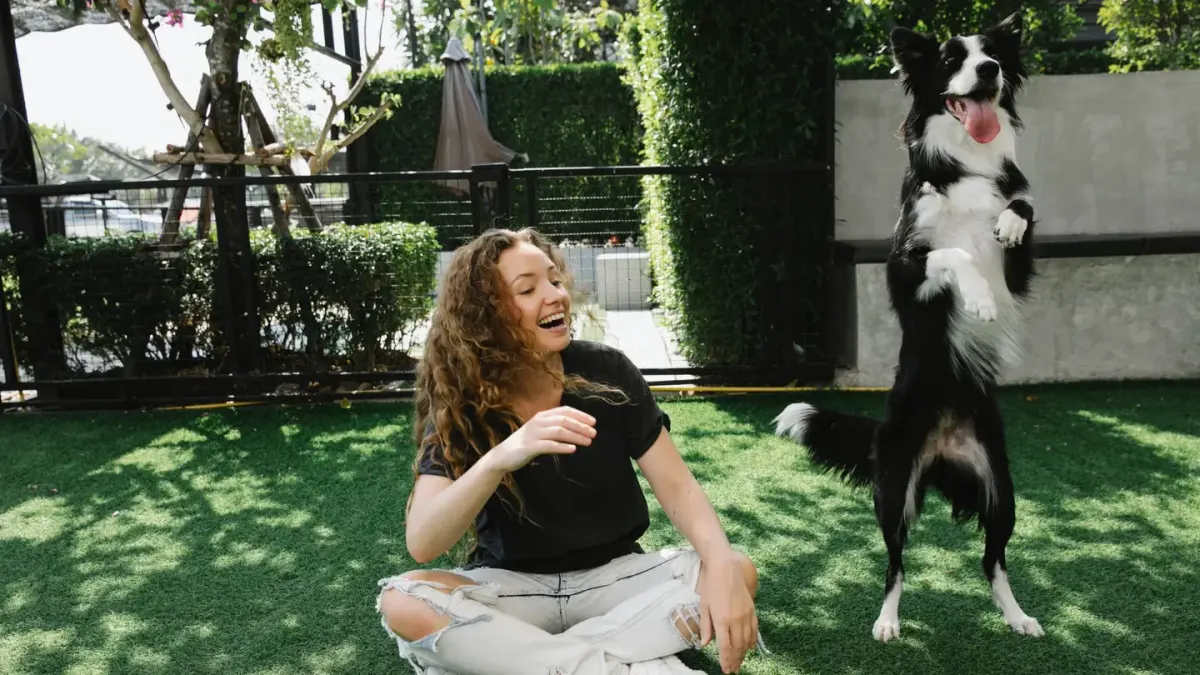 Dog with a gardening owner