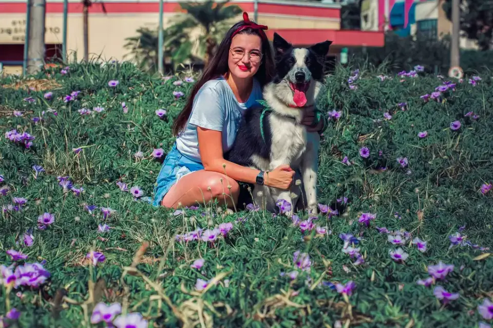 Dog with a gardening owner