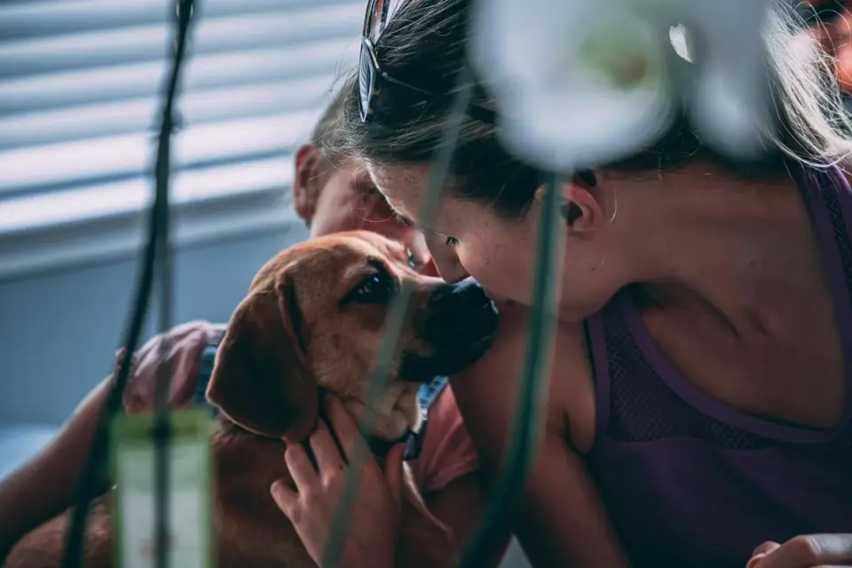 Dog with an owner at home