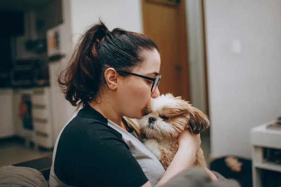 Dog with an owner at home