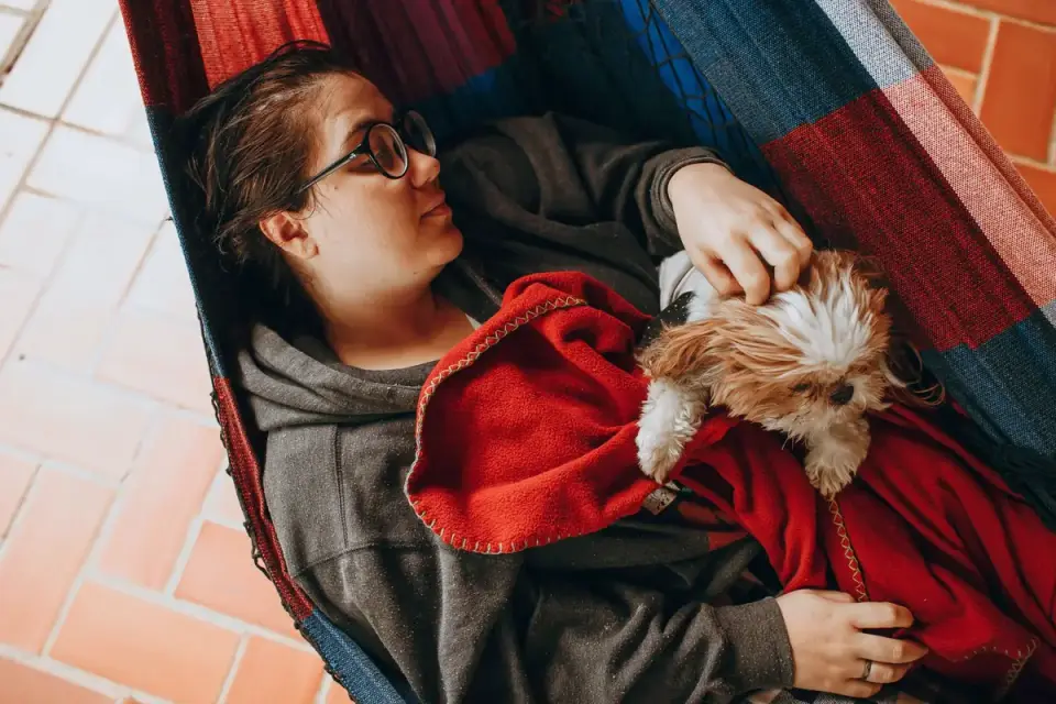 Dog with an owner at home