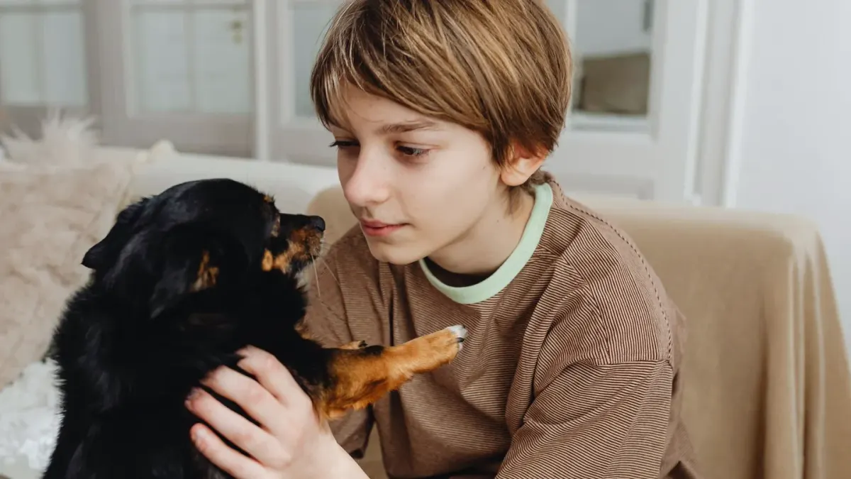 Dog with an owner at home