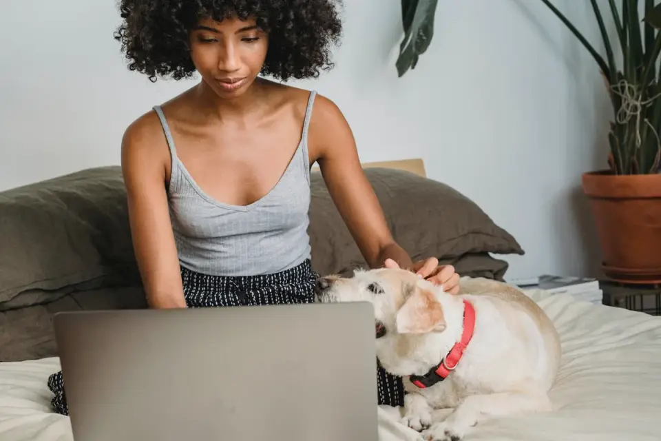 Dog with an owner at home