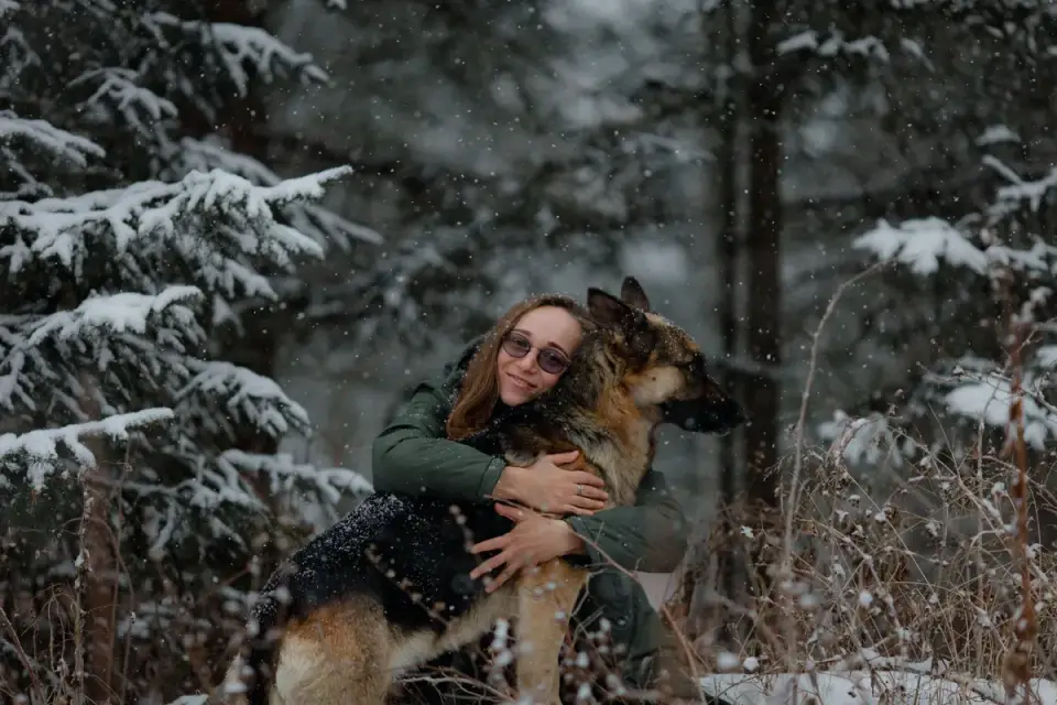 German shepherd standing outdoors