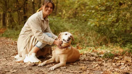 Older dog owner park
