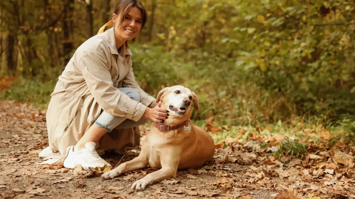 Older dog owner park