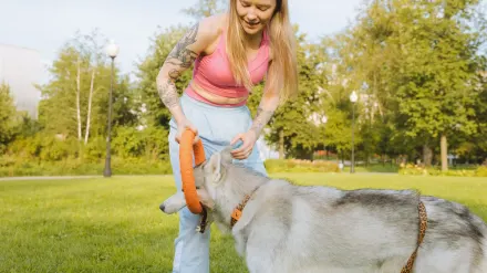 Older dog owner park