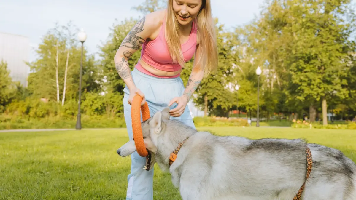Older dog owner park