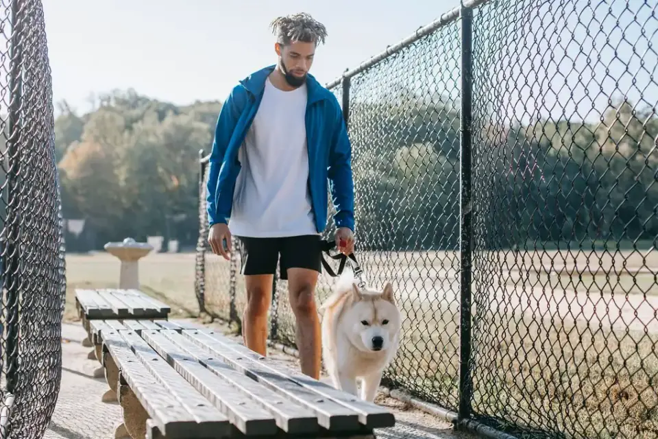 Older dog owner park