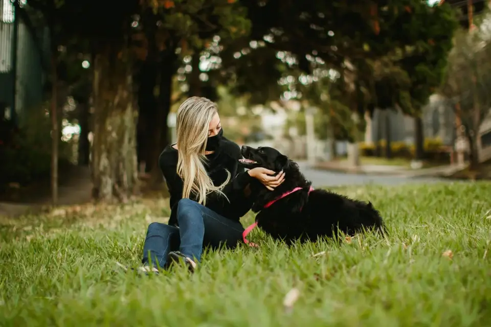 Older dog with an owner in a park