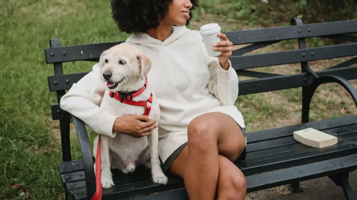 Older dog with an owner in a park