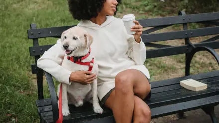 Older dog with an owner in a park