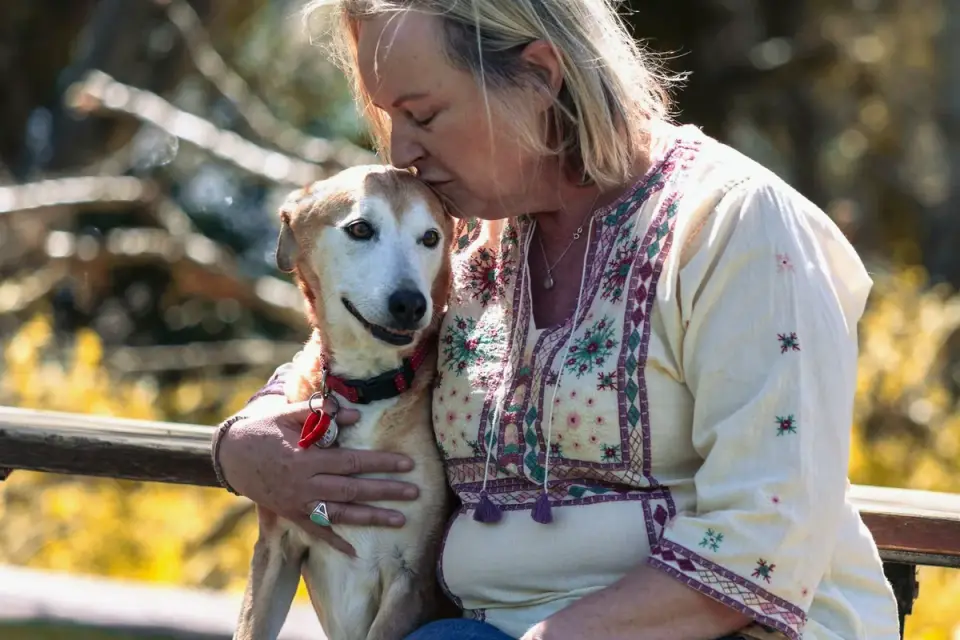 Older dog with an owner in a park