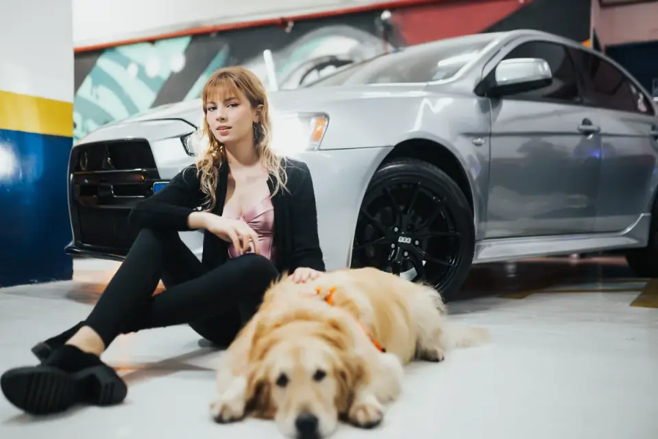 Owner fastening a calming wrap on a dog before a car ride