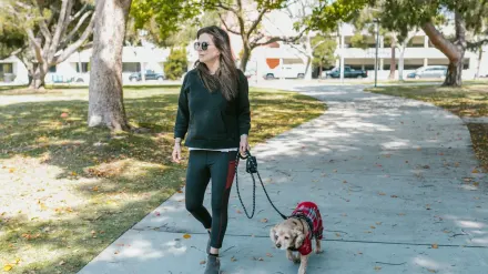 Senior dog walking with an owner